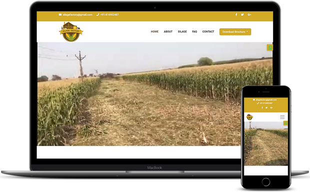 portfolio-silagefactory